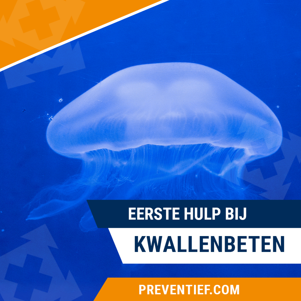 Eerste hulp bij kwallenbeten | Preventief | Veiligheidstrainingen